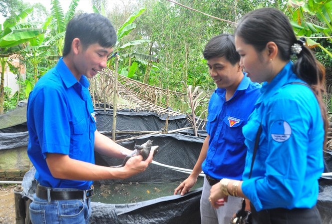 Bí thư Chi đoàn Võ Văn Út Em giới thiệu kỹ thuật nuôi ếch Ảnh: Hòa hội