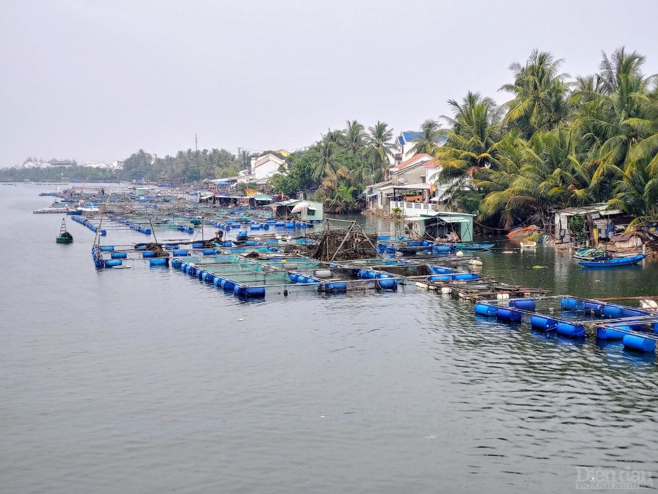 Tỉnh Quảng Nam tập trung triển khai các biện pháp đảm bảo an toàn cho người và tài sản của nhân dân và khách du lịch ven biển, các đảo, trên các lồng bè và khu vực nuôi trồng thủy, hải sản. Kiên quyết không để người ở lại trên tàu thuyền và lồng bè.