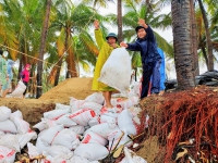 Hàng trăm người Hội An đội mưa 