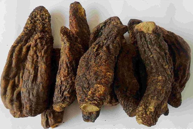 Nhục thung dung.