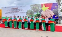 Doanh nghiệp Bến Tre 