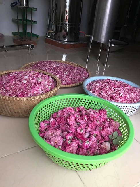 Khu vực chưng cất nước hoa hồng.