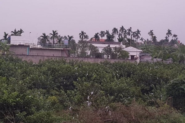 Nhà máy nuiwcs An Phương, Thanh Hà, Hải Dương