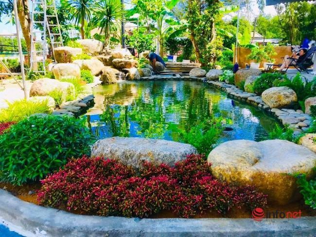 Một trong những công trình hồ cá Koi do anh Phi thiết kế, thi công xây dựng