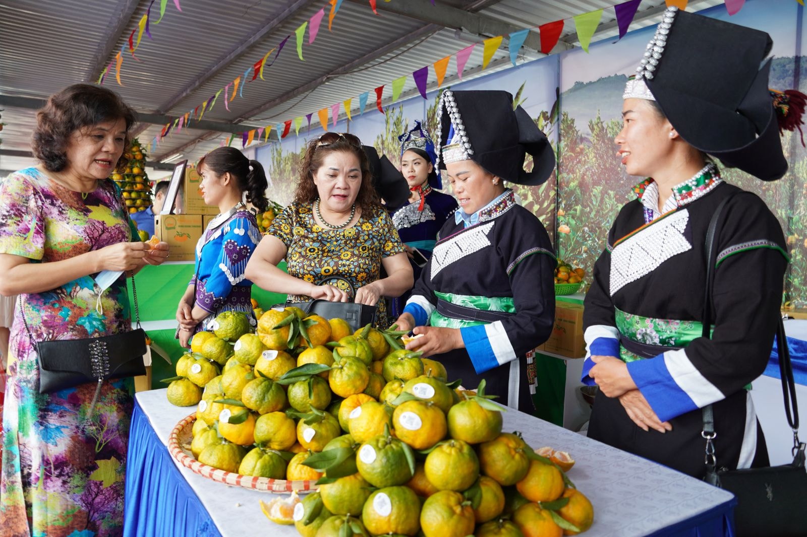 Người tiêu dùng Thủ đô Hà Nội hào hứng mua sắm đặc sản Quýt Mường Khương của tỉnh Lào Cai.jpg