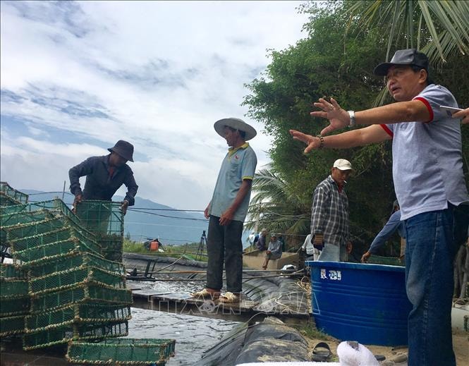 Ông Toàn thường xuyên kiểm tra việc vệ sinh đìa tôm và hướng dẫn người lao động chăm sóc, thu hoạch tôm đảm bảo theo đúng các yêu cầu nuôi công nghệ Biofloc.