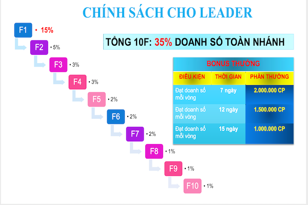 Mô hình trả thưởng của công ty 