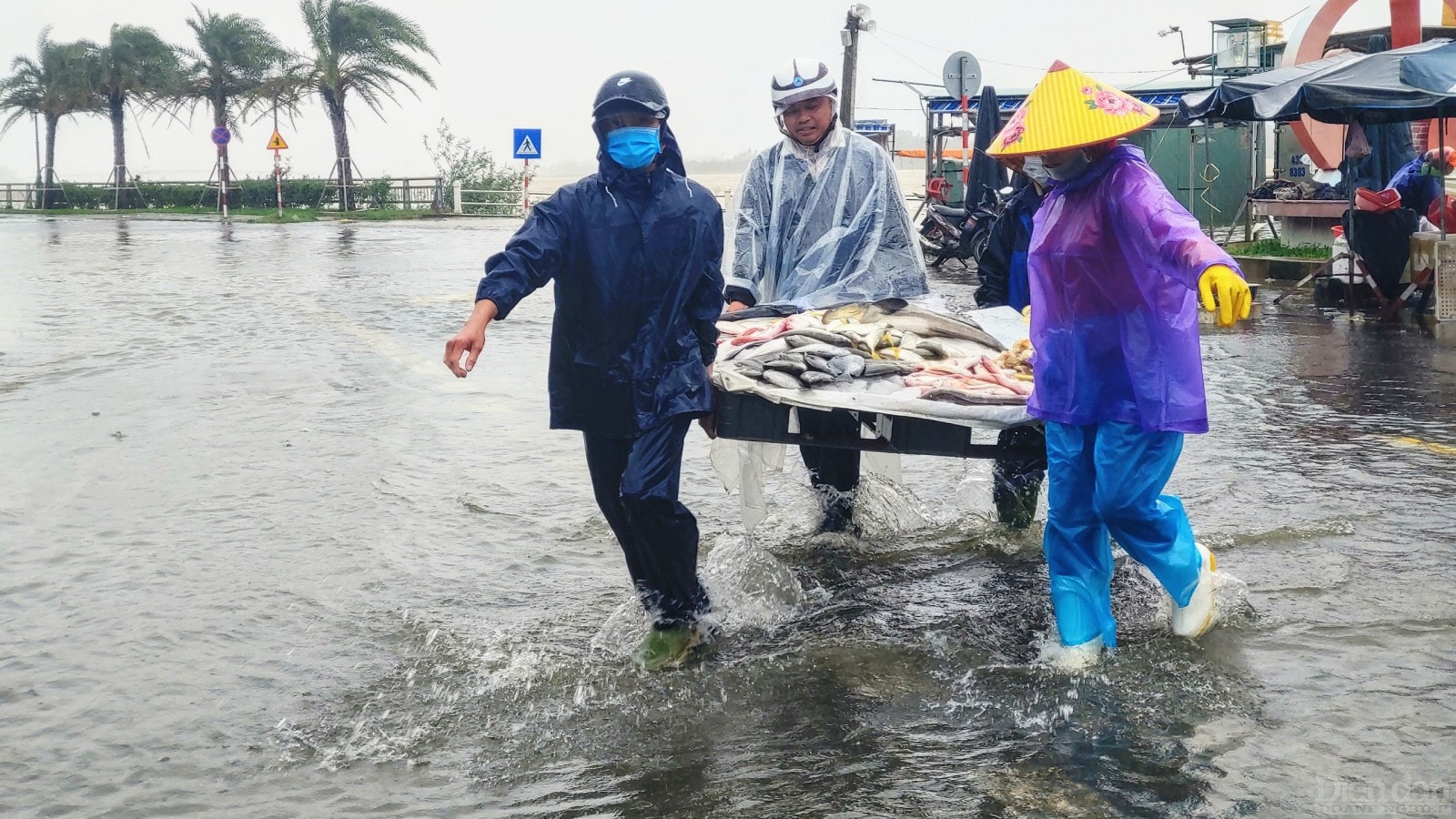 Di chuyển hàng hóa đến nơi cao hơn để tiếp tục buôn bán.