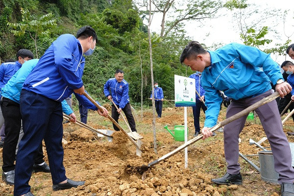 Các đại biểu và đoàn viên thanh niên, học sinh của tỉnh Tuyên Quang cùng nhau trồng cây tại khu vực Lán Hang Thia, Khu di tích lịch sử Tân Trào.