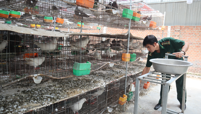 Bằng một cái xe đẩy nhỏ, việc cho chim ăn, cũng như vận chuyển hàng hóa, dọn dẹp trở nên dễ dàng; Ảnh: Hoàng Giáp