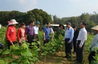 Huyện Văn Chấn (Yên Bái): Khai thác tiềm năng, phát triển kinh tế xã hội bền vững