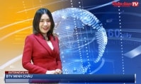 Bản tin 60s ENTERNEWS ngày 21/11: Hòa Phát: Nợ tăng cùng lợi nhuận