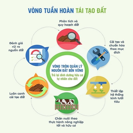 Mô hình “kinh tế tuần hoàn” ứng dụng trong hệ thống Biogas và vòng tròn quản lý nguồn đất bền vững tại các trang trại bò sữa Vinamilk.