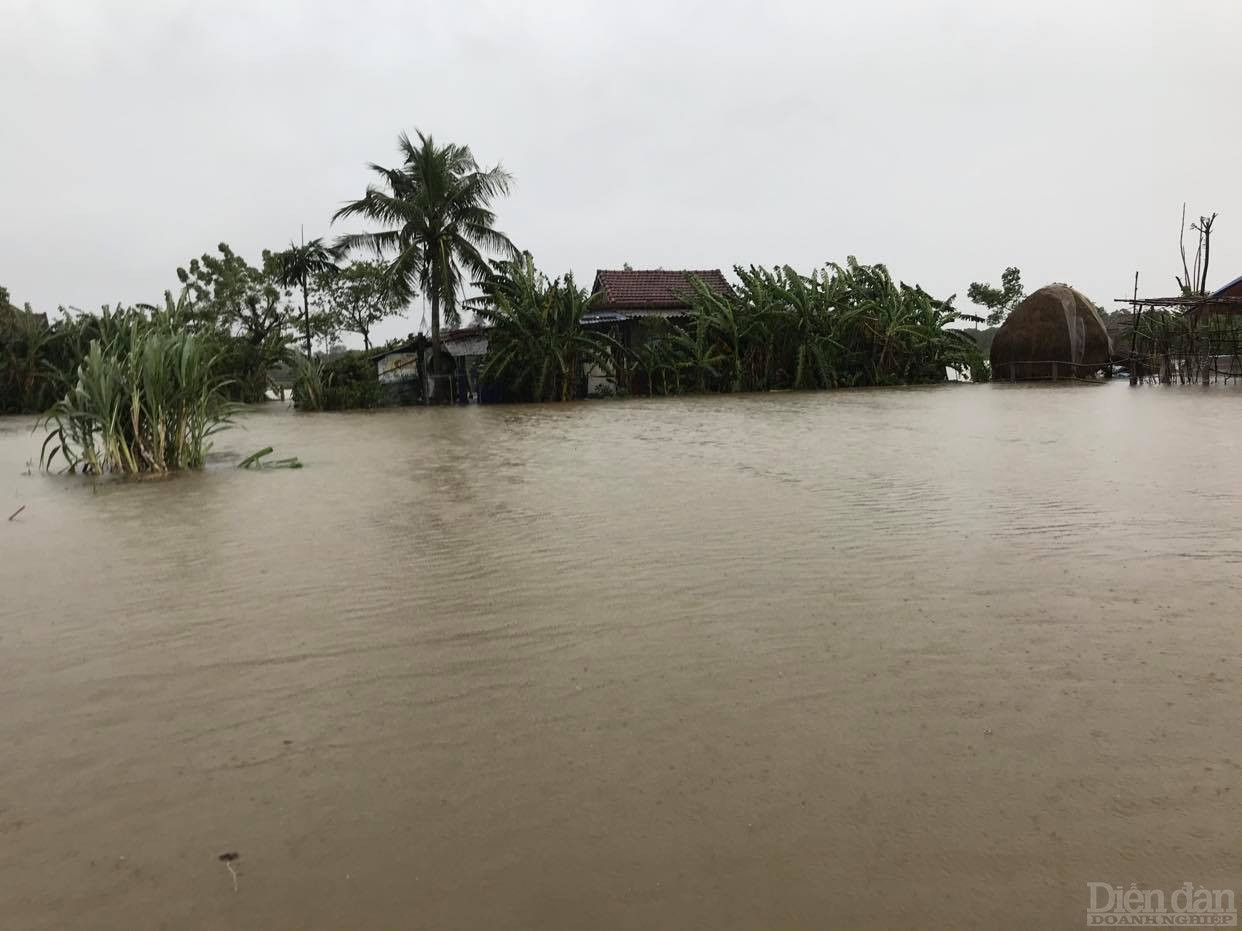 Khu vực Tài nguyên nước của Australia và Việt Nam cung giải pháp xử lý nước uống an toàn cho những vùng chịu ảnh hưởng bởi lũ lụt.