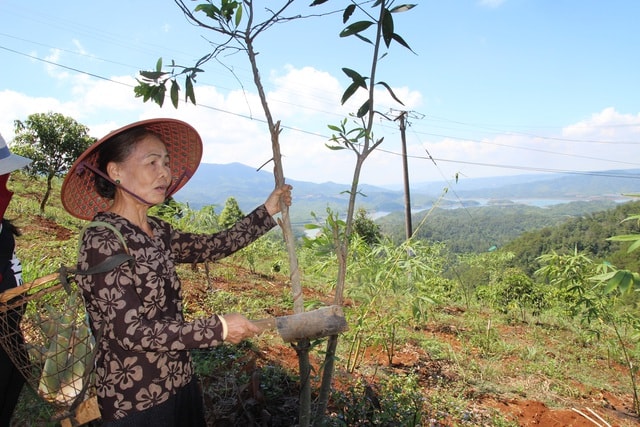 Hiện tại, hai vợ chồng ông Hoàng đang ấp ủ làm dự án du lịch sinh thái 