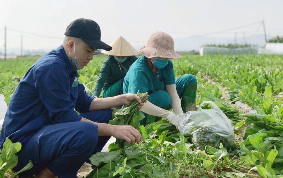 Tạo công ăn việc làm ổn định cho hàng chục lao động địa phương.