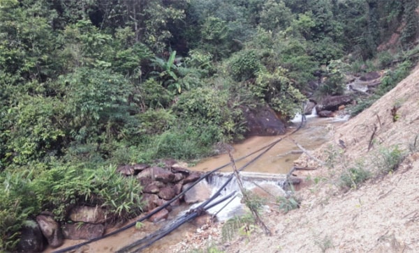 Nguồn nước nuôi cá hồi, cá tầm được ông Sâm lấy từ các đập dâng ở thượng nguồn, chảy qua các ống dẫn đưa vào bể nuôi. Ảnh: Võ Dũng.