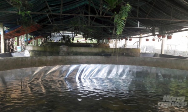 Bể nuôi cá hồi, cá tầm được ốp bạc để không bị rêu, mốc bám quanh. Ảnh: Võ Dũng.