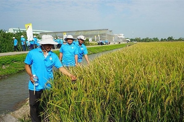 So kết quả thực hiện trong 9 tháng với kế hoạch 7.352 tỷ đồng doanh thu và 360 tỷ đồng lợi nhuận sau thuế của cả năm 2020 thì khả năng về đích của LTG gặp thách thức khá lớn