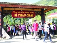 Tam Đường (Lai Châu): Điểm đến đầu tư hấp dẫn