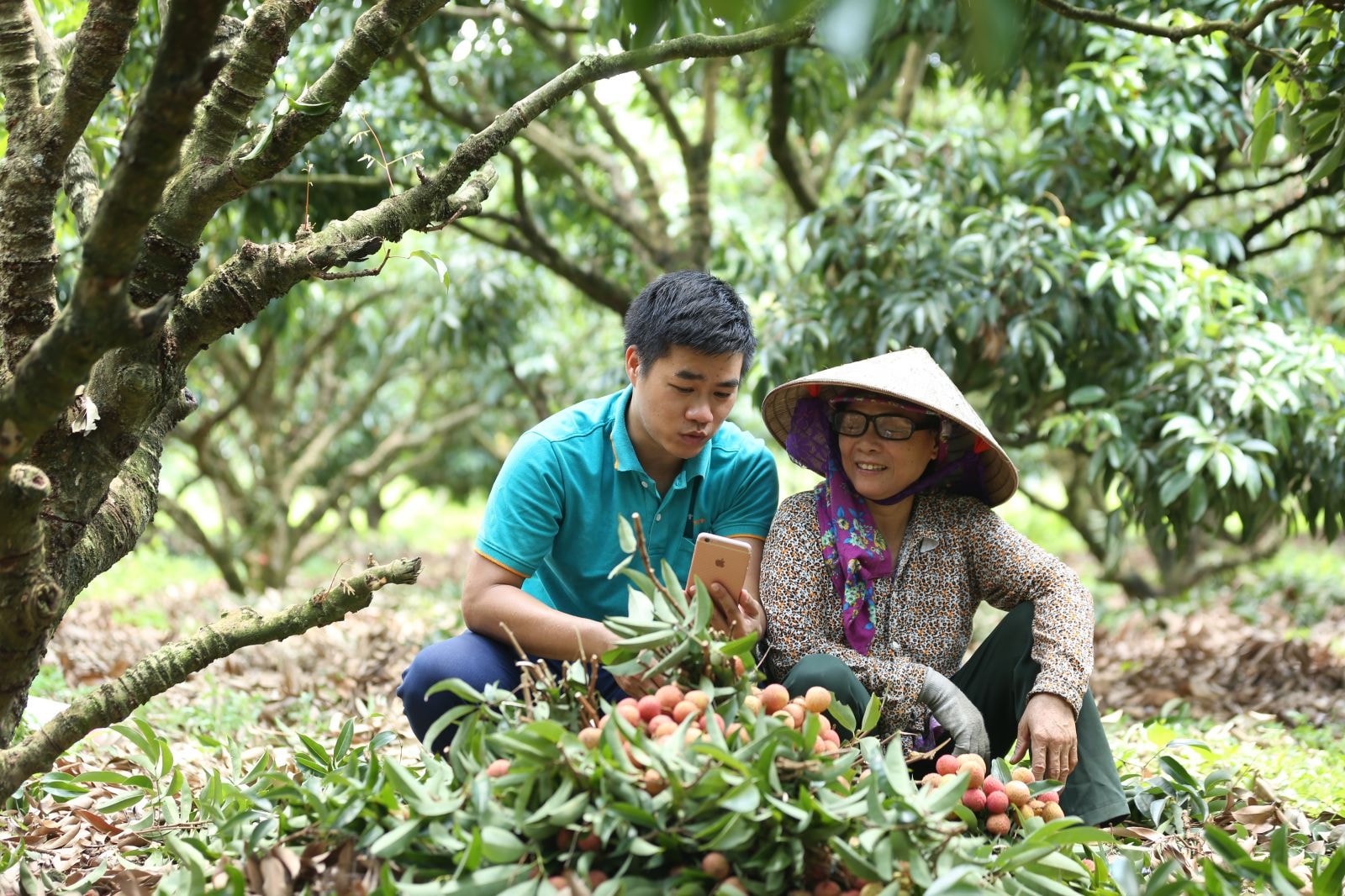 Vỏ Sò đã cử người đến tận nơi đào tạo, hướng dẫn, hỗ trợ người dân làm quen với thương mại điện tử 