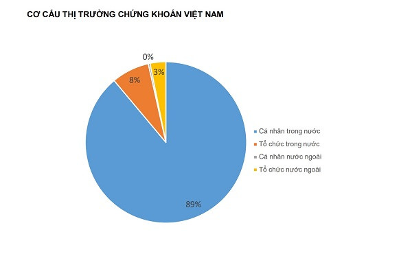 Chưa bao giờ TTCK Việt Nam có sức mạnh lớn đến từ nhà đầu tư cá nhân trong nước mạnh mẽ chiếm tỷ trọng lớn trong cơ cấu thị trường như năm 2020. Ảnh: Thống kê của Fiin Pro & Yuanta