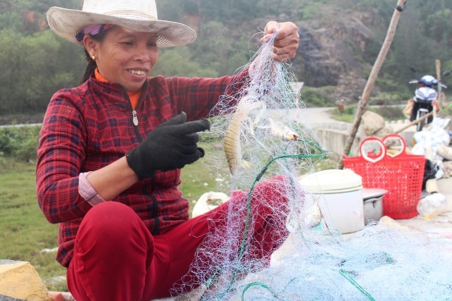 Không chỉ riêng xã Thịnh Lộc, ngư dân các xã bãi ngang ven biển như Thạch Hà, Cẩm Xuyên, Kỳ Anh, Nghi Xuân cũng đánh bắt được nhiều cá khoai và bán với giá cao.