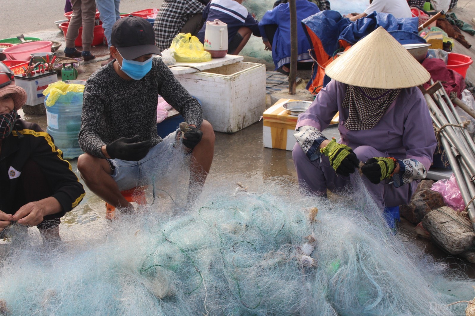 Theo các ngư dân, khoảng một tuần nay, thời tiết đẹp, ngư dân liên tục được cá khoai nên các chủ tàu thuyền khu vực bãi ngang Hà Tĩnh đổ xô ra biển khai thác.