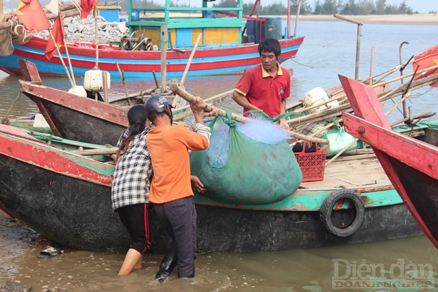 Tranh thủ thời tiết thuận lợi, một số ngư dân sau khi vào bờ bán 