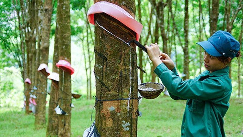 Dù mạnh tay bán các mảng kinh doanh không hiệu quả nhưng tương lai của Hoàng Anh Gia Lai vẫn chưa sáng sủa.