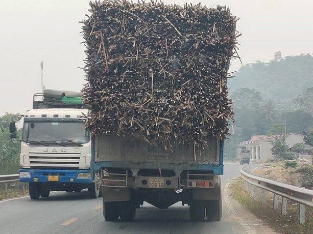 Nhiều xe chất cao gấp đôi thành thùng của xe gây nguy cơ mất an toàn giao thông