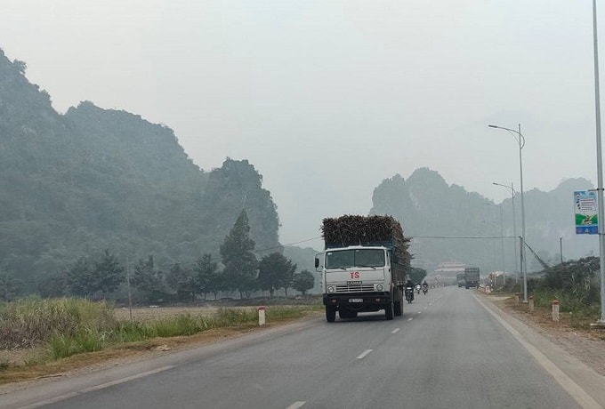 Đến hẹn lại lên, cứ vào mùa thu hoạch mía, sắn là những 