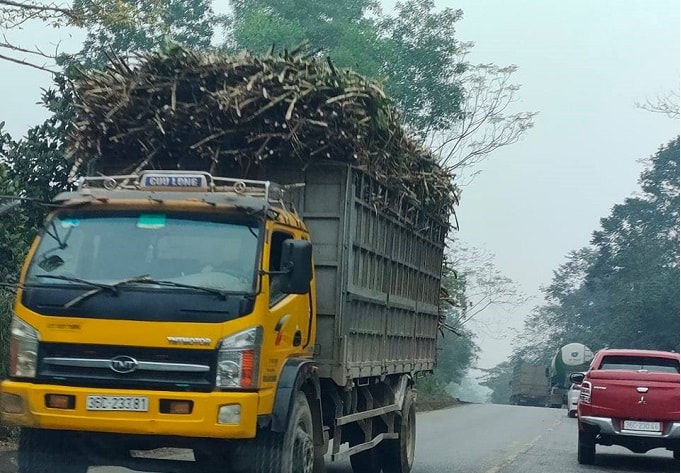 Cứ vào độ tháng 11 đến hết tháng 2 hàng năm, những 