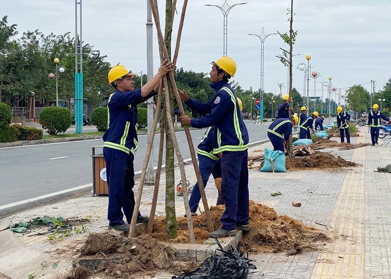 Trồng cây xanh trên địa bàn tỉnh Bến Tre.