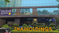 Thaigroup kinh doanh ra sao trước khi 