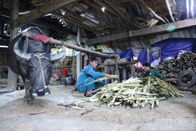 Công đoạn ép mía trước đây được làm thủ công, chủ yếu là dùng sức trâu, bò để kéo nên năng suất kém hơn. Nhiều năm lại nay người dân Thọ Điền đã đầu tư máy móc hiện đại, đảm bảo năng suất hơn.