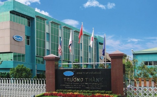 Gỗ Trường Thành vẫn trầy trật để lấy lại thời hoàng kim.