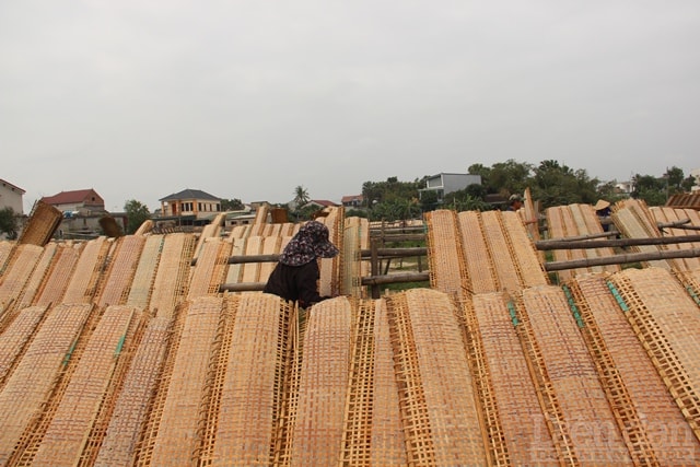 Càng gần đến ngày Tết nguyên đán, làng nghề bánh đa nem xã Thạch Hưng càng trở nên nhộn nhịp. Với tuổi đời gần 10 năm, làng bánh đa nem đã dần khẳng định được thương hiệu, mang lại nguồn thu nhập chính cho nhiều hộ dân vùng này.