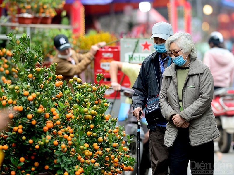 Chợ hoa Hàng Lược (Hoàn Kiếm, Hà Nội) được coi là chợ hoa lâu đời nhất tại Hà Nội