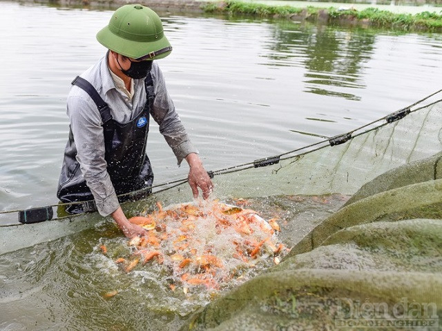 Ông Nguyễn Văn Định