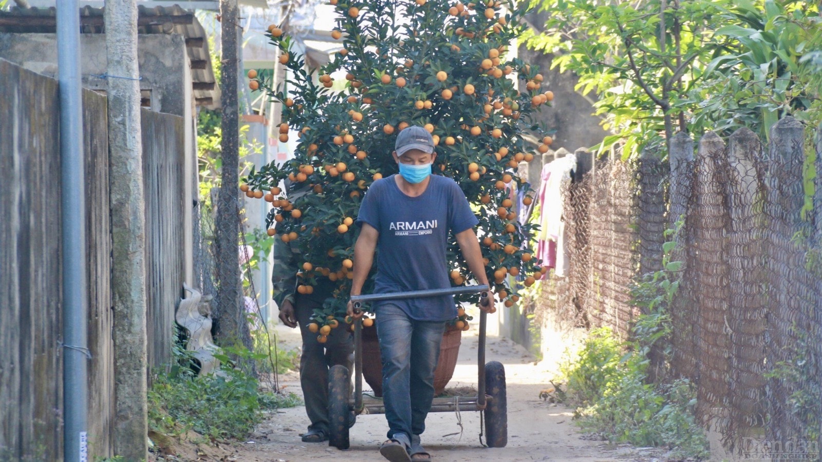 Dùng xe kéo để vận chuyển nhanh hơn và tiết kiệm công sức.