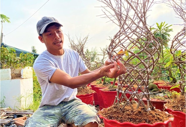 Sản phẩm lộc bình mai mang ngụ ý sung túc, may mắn đang gây 