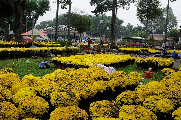 Thị trường hoa Tết năm nay đẹp, đa dang, nhiều chủng loại, giá rẻ hơn nhưng lại vắng bóng người mua.