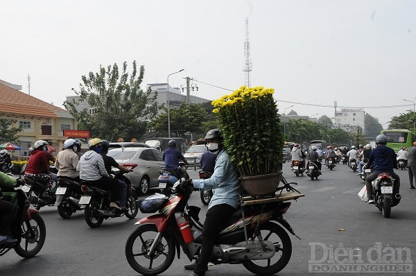 ...và chở về nhà chưng tết.