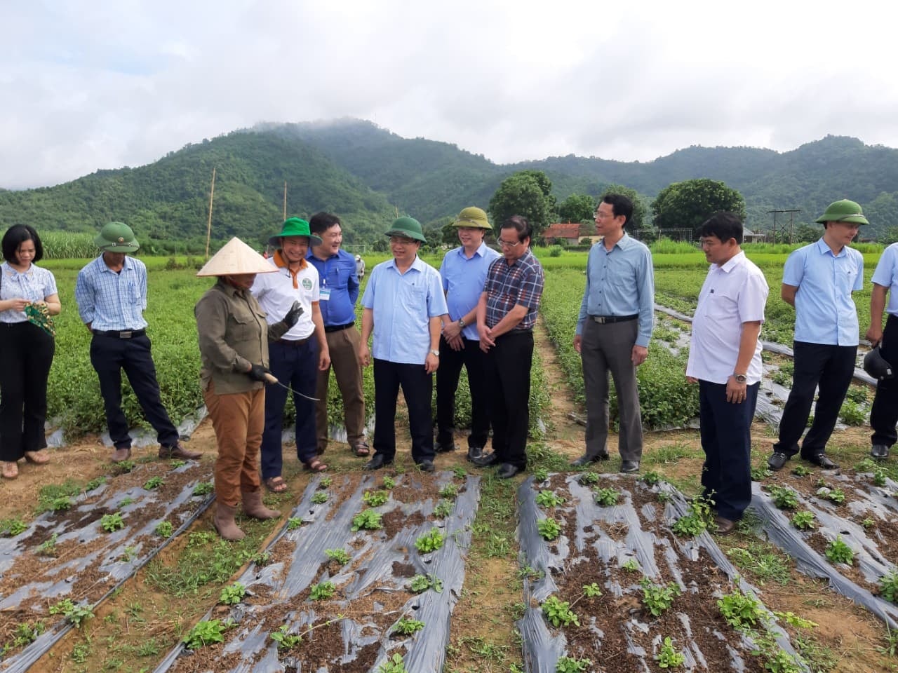 Ông Bùi Đình Long thăm mô hình cây dược liệu.