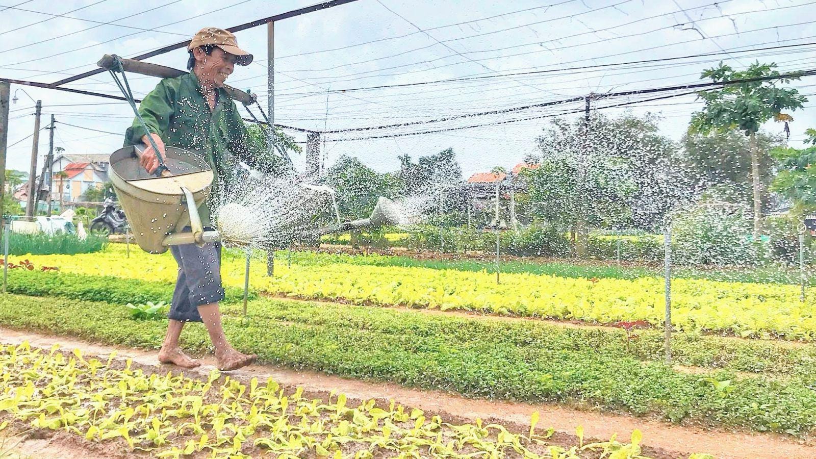 Những ngày giáp Tết Tân Sửu 2021, giá nông sản ổn định nên thu nhập của người nông dân đủ để trang trải đời sống.