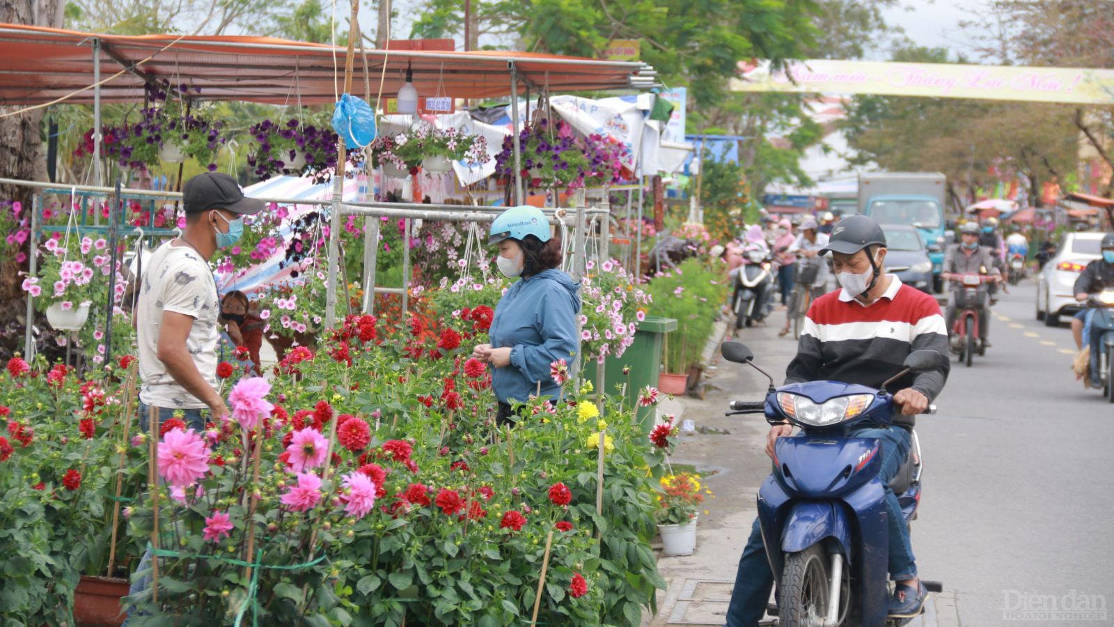 Hiện người dân có xu hướng chọn những loại cây cảnh nhỏ gọn để dễ trang trí nhà cửa.