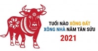 Tân Sửu 2021: Chọn tuổi nào xông đất để gia chủ 