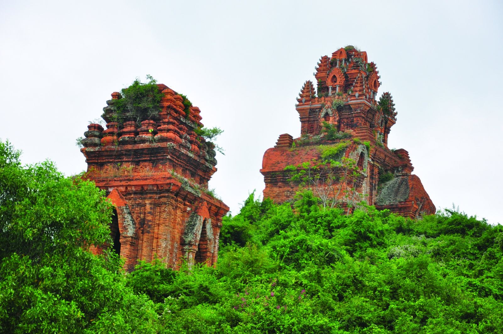 Tháp Bánh Ít hình hài vẫn còn khá nguyên vẹn với những hoa văn trang trí sống động của người Chăm. 