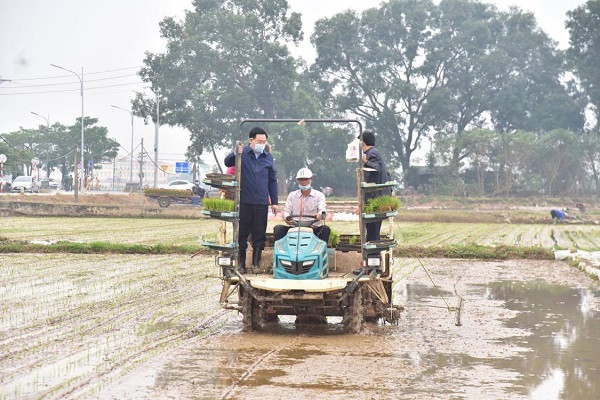 Bí thư Thành ủy Vương Đình Huệ và Chủ tịch UBND thành phố Chu Ngọc Anh đã trực tiếp đứng máy cấy, tham gia những đường cấy vụ xuân.